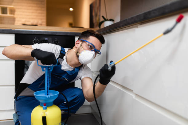 Best Affordable Pest Control Services  in Waterville, MN