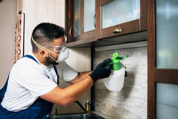 Best Rat Extermination Near Me  in Waterville, MN