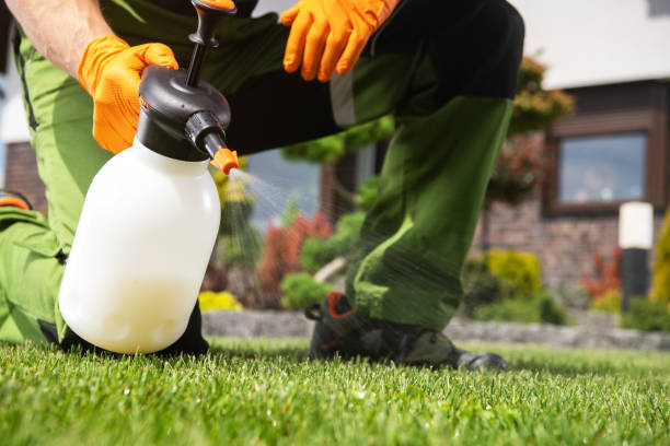 Best Commercial Pest Control Services  in Waterville, MN