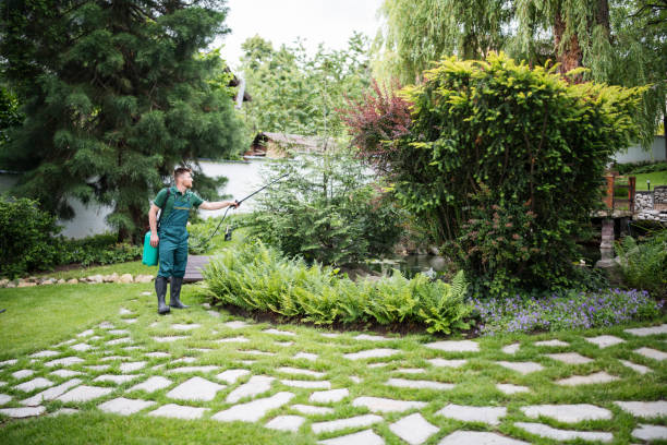 Flea Control Services in Waterville, MN