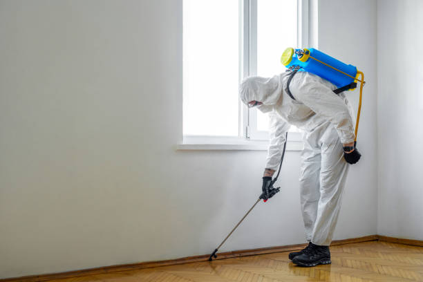 Best Mosquito Control Services  in Waterville, MN