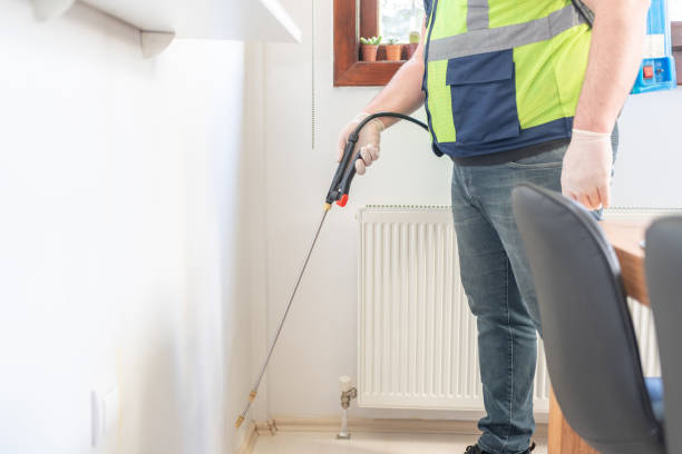 Best Termite Control Services  in Waterville, MN