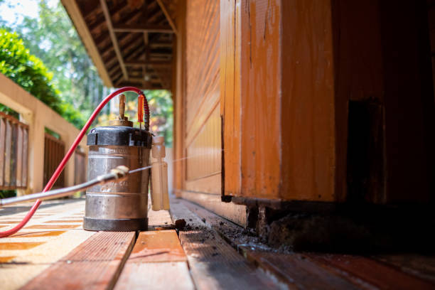 Best Pest Removal Services  in Waterville, MN
