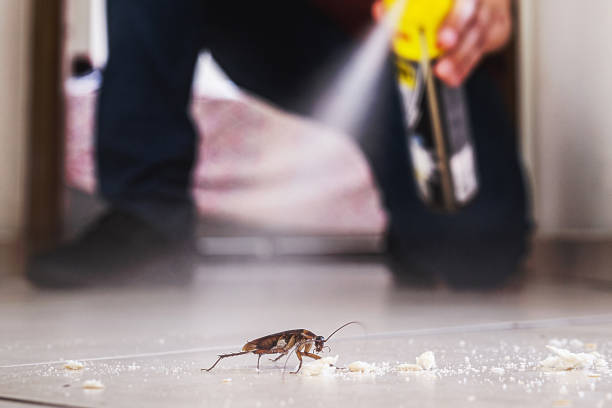 Best Pest Prevention Services  in Waterville, MN