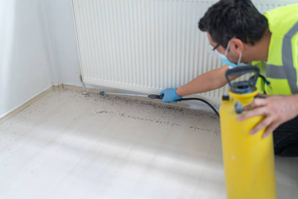 Best Best Pest Control Companies  in Waterville, MN